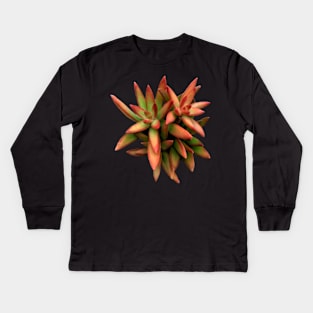 Sedum Fire Storm Kids Long Sleeve T-Shirt